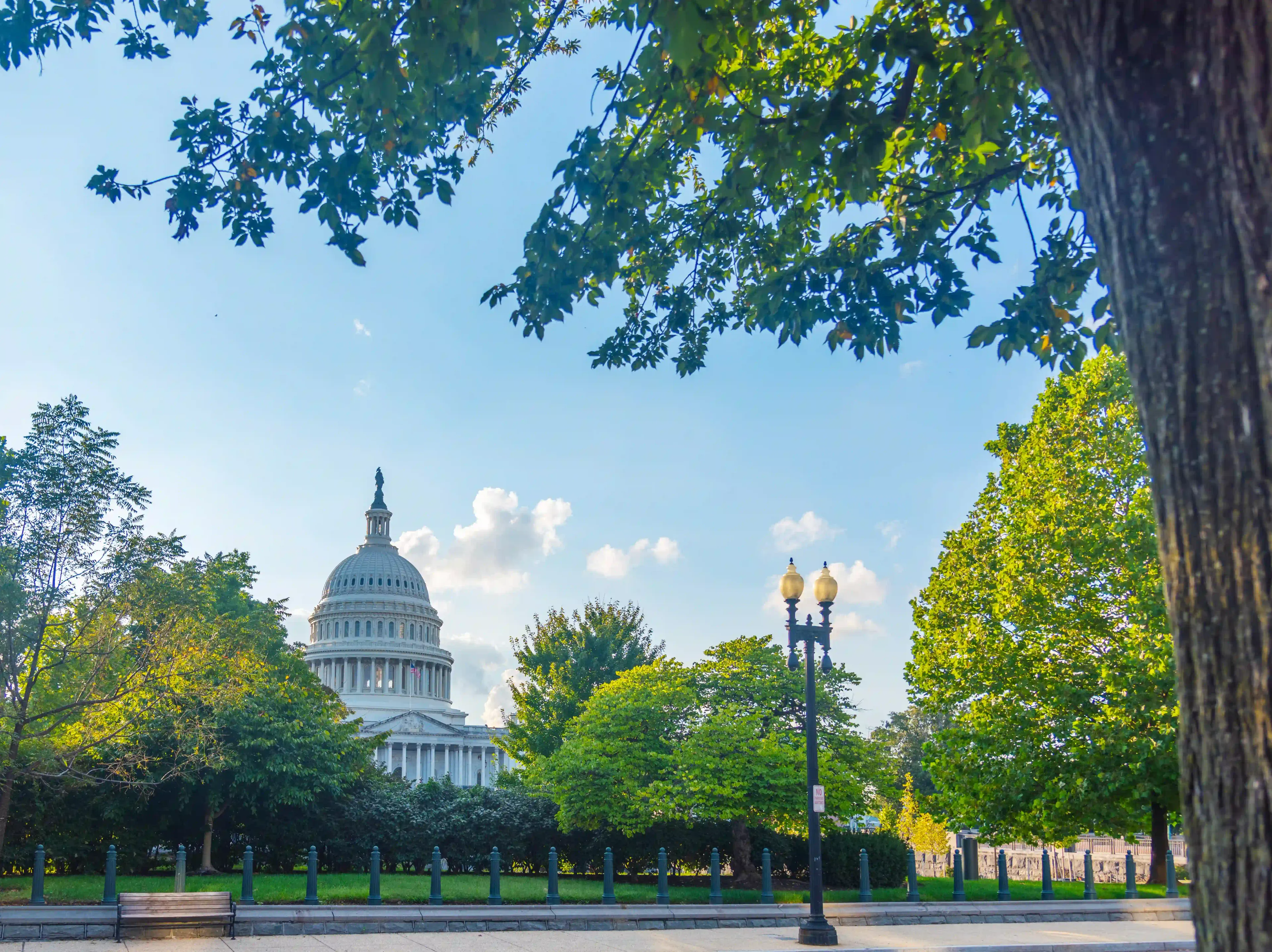 Greater Capital Area